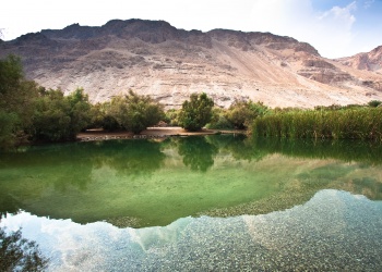 الحديقة الوطنية عين حيمد  גן לאומי עין חמד